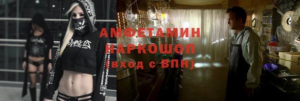 МДПВ Дмитриев