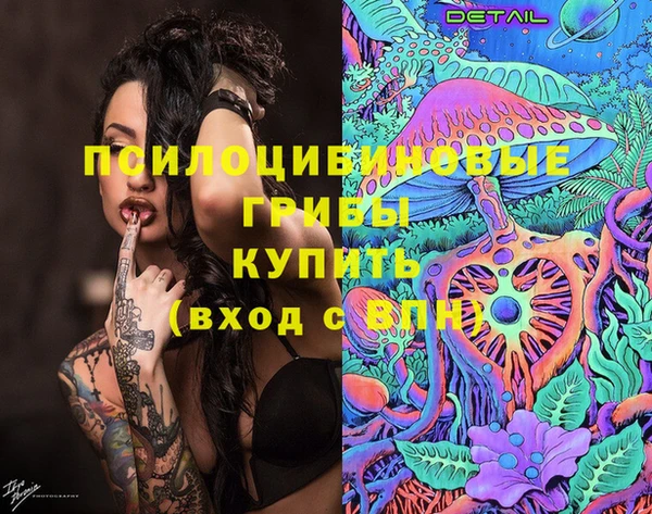 спайс Дмитров