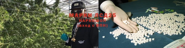 МДПВ Дмитриев