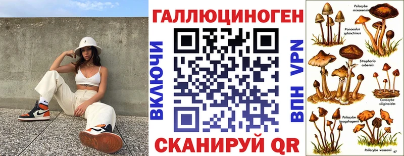 Галлюциногенные грибы ЛСД  как найти   Жердевка 